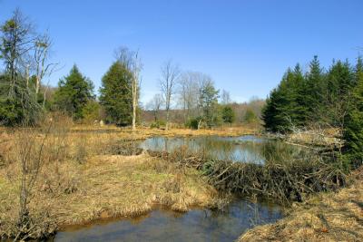 Hickory Creek Wilderness