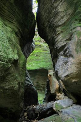 Allegheny National Forest