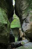 Allegheny National Forest