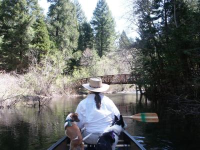 Upcreek3.jpg