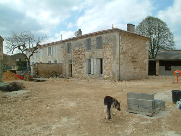 stripping house 3 back to stone.JPG