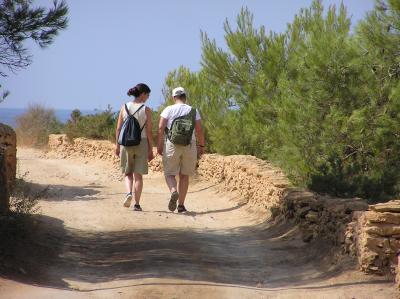 Path to the Cliff-top