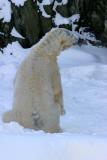 Bronx Zoo in Winter