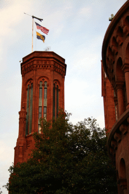 IMG_0727.gif