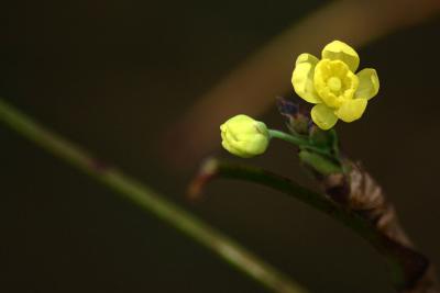 IMG_1664.jpg