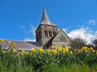 Daffodils and Church.jpg