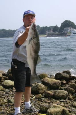 A nice catch. Cape Cod Canal. Aug. 28, 2004.