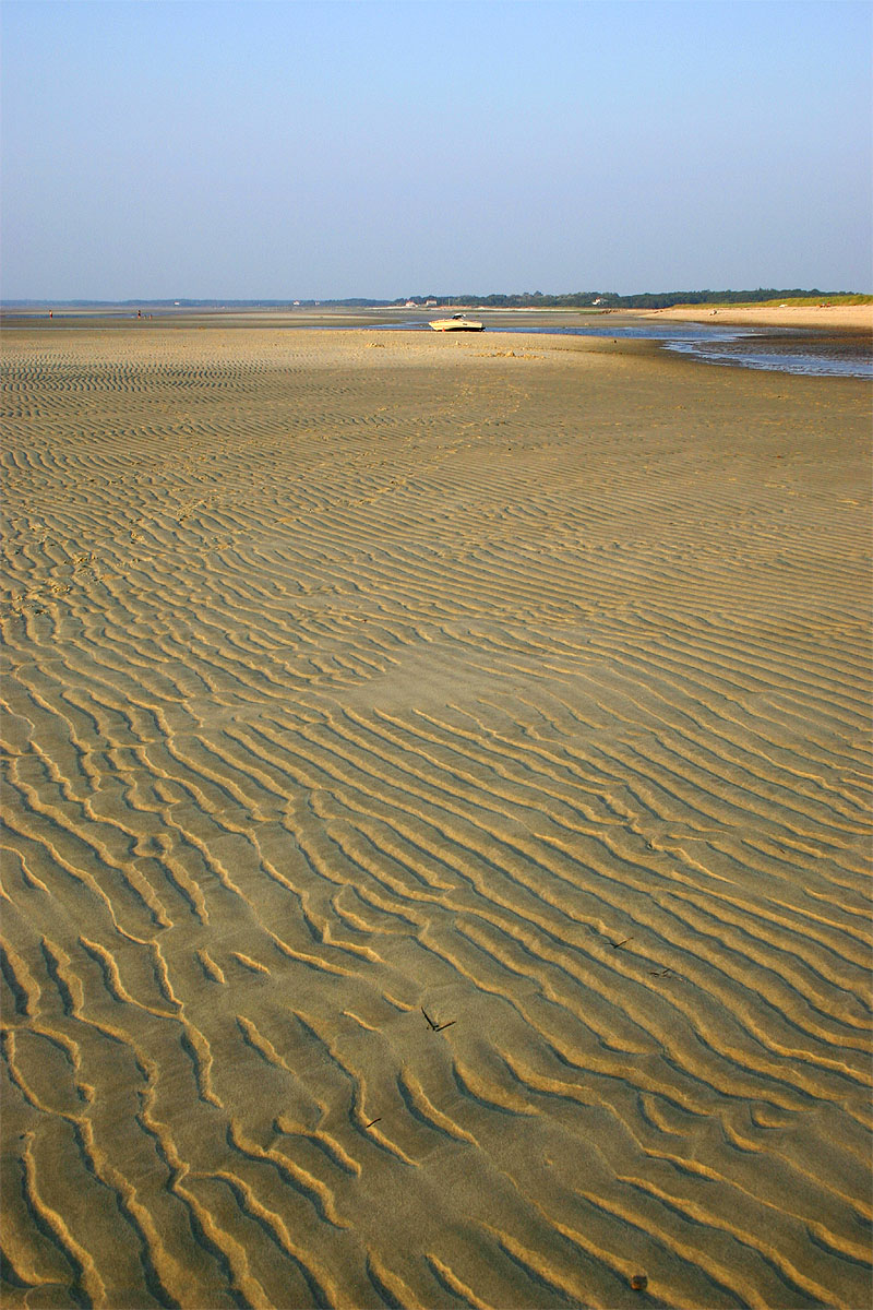 Low tide at Ellis Landing beach (bay side). Brewster, Aug. 28, 2004.