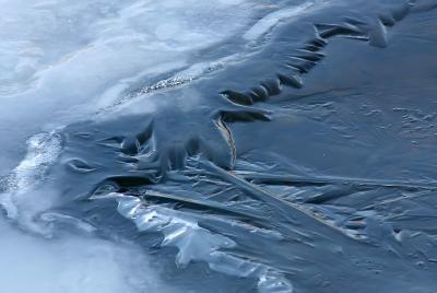 u43/dholm/medium/33526280.IceSculpture.jpg