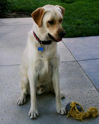Barclay