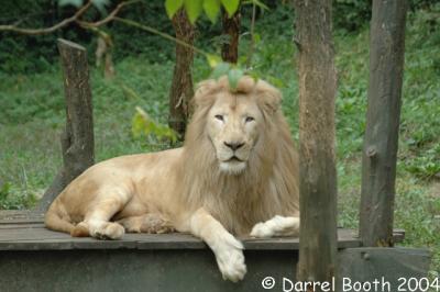 Cincinnati Zoo