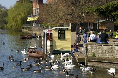 feeding the birds.jpg