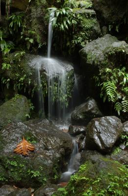 Small Waterfall, Dominica