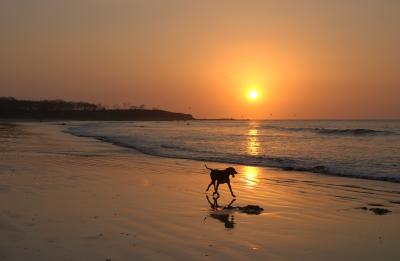 Playa Tamarindo (Costa Rica)