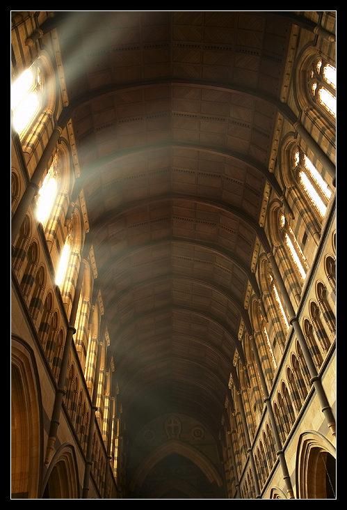 Light from Heaven