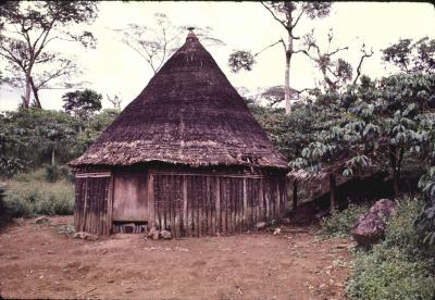 Minolta-Bakossi-House.jpg