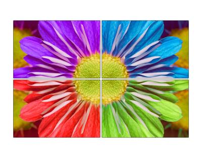 compositeflower.jpg