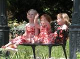 Three Sisters at Descanso Gardens
