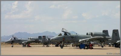 DM A10 flight line 2 pc.jpg