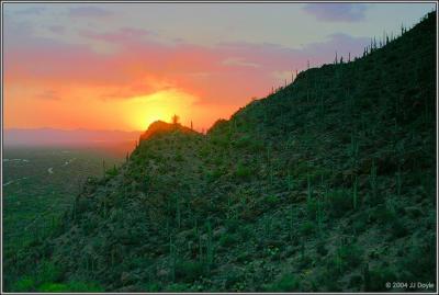 Saguaro Sunset 4 pc.jpg