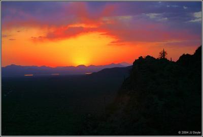 Saguaro Sunset 5 pc.jpg