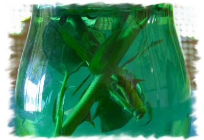 Thorns in Water