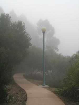 Fog 06.jpg