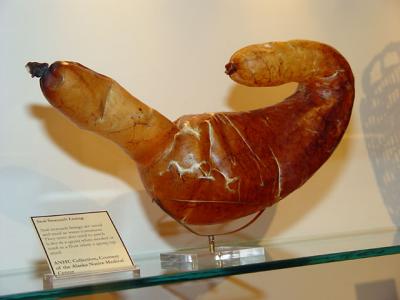 Alaska Native Heritage Center