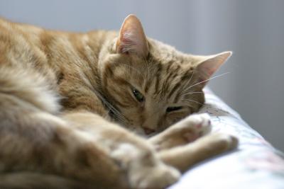 Leroy2.jpg