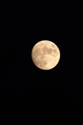 DSCF0052.jpg