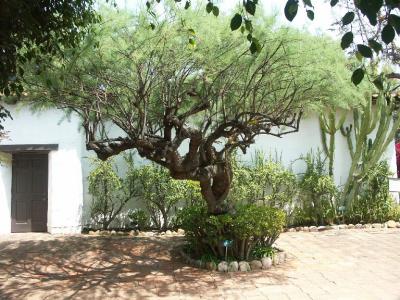 Outside the Chapel