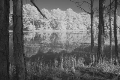 2/05 - Infrared - Deerhaven Lake