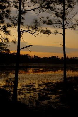 Sunrise at Deerhaven