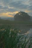 9/27/04 - YAMS (Yet another misty sunrise)