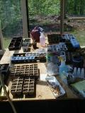 The Seed Sprouting Laboratory