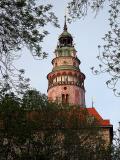 Castle Tower through trees