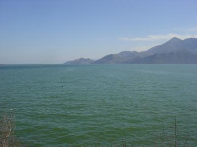 Scutari Lake at the border of Montenegro
