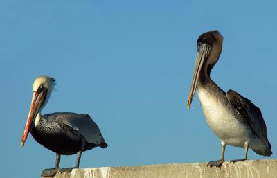 Hey you? You don't look me.