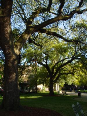 DSC01544.jpg