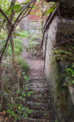 DSC05146-pano.jpg