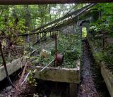 Ruined Greenhouse