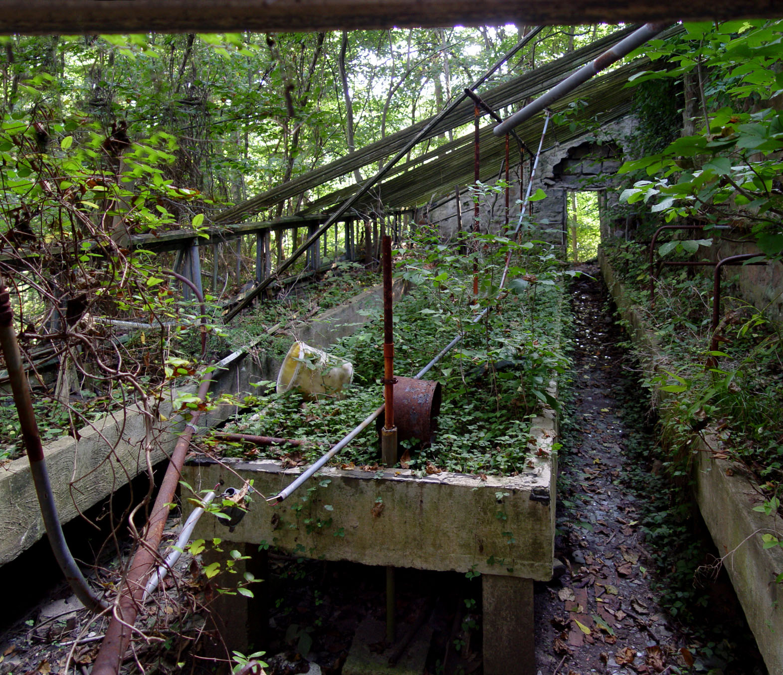 Ruined Greenhouse