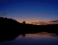 u43/erichmangl/upload/34255784.tonibatwwwmanglat.gif