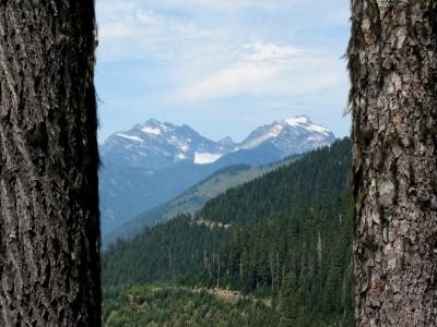 Trees Framing Monte Cristo Peaks