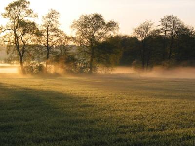 Ground Fog in Full Sun