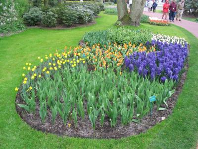 Keukenhof