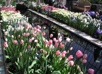 Sunken garden