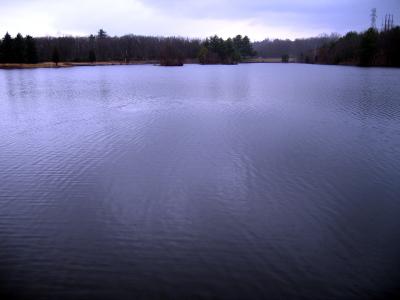 Lake View 1.jpg