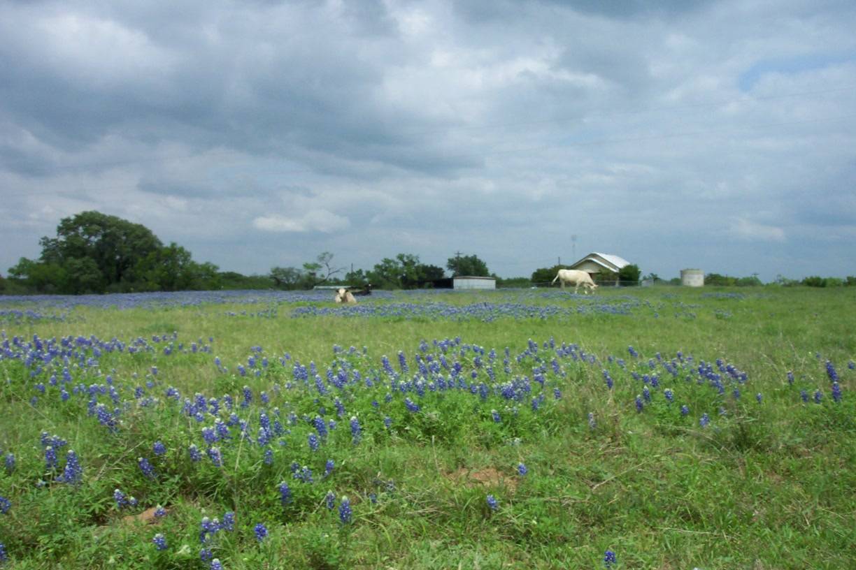 Taken on hwy 152 west of Llano