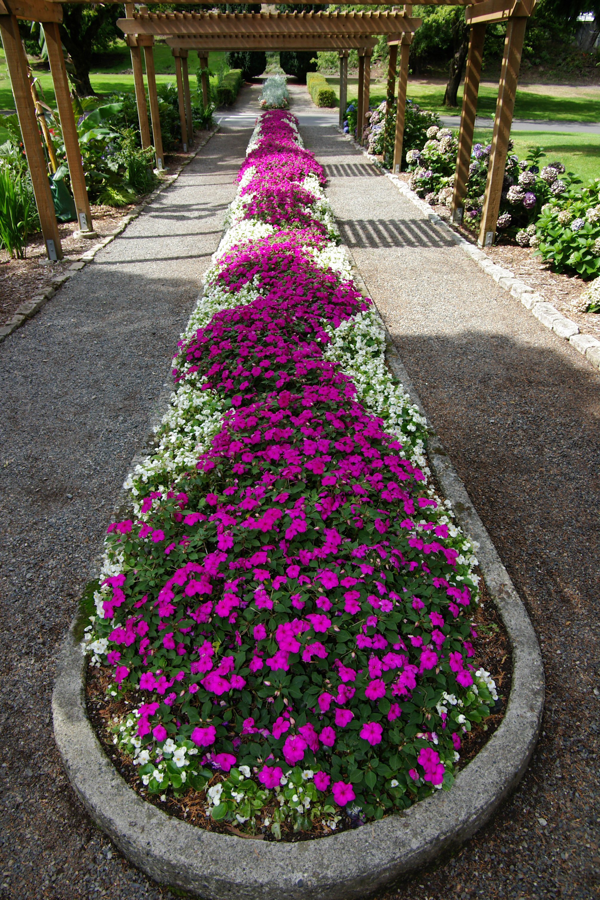 IMGP0818.JPG